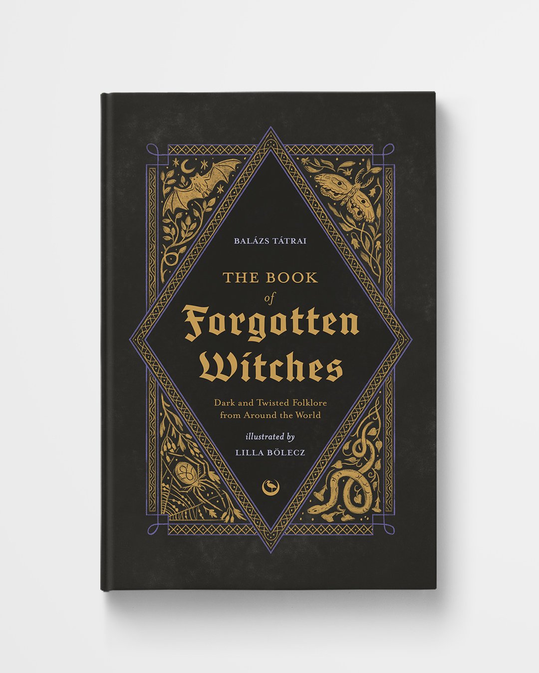 The Book of Forgotten Witches